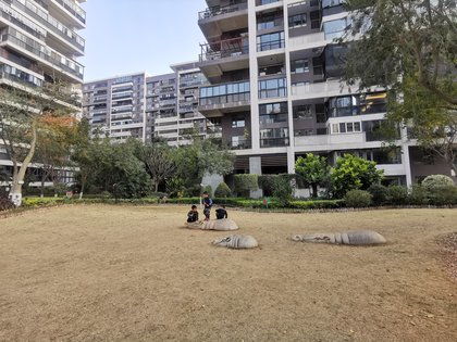 联发五缘湾1号优点 不足,联发五缘湾1号怎么样,联发五缘湾1号周边房产中介经纪人评价