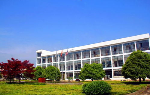 对 就是今天,市政府广场,亚新科与你不见不散
