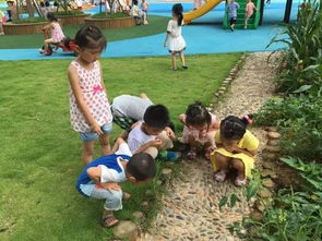 走进厦门市五缘实验幼儿园 有一种美育,春风化雨,润物无声︱图说幼教