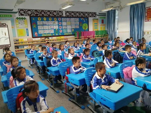 2020全国象棋特色校精彩集锦 学棋篇