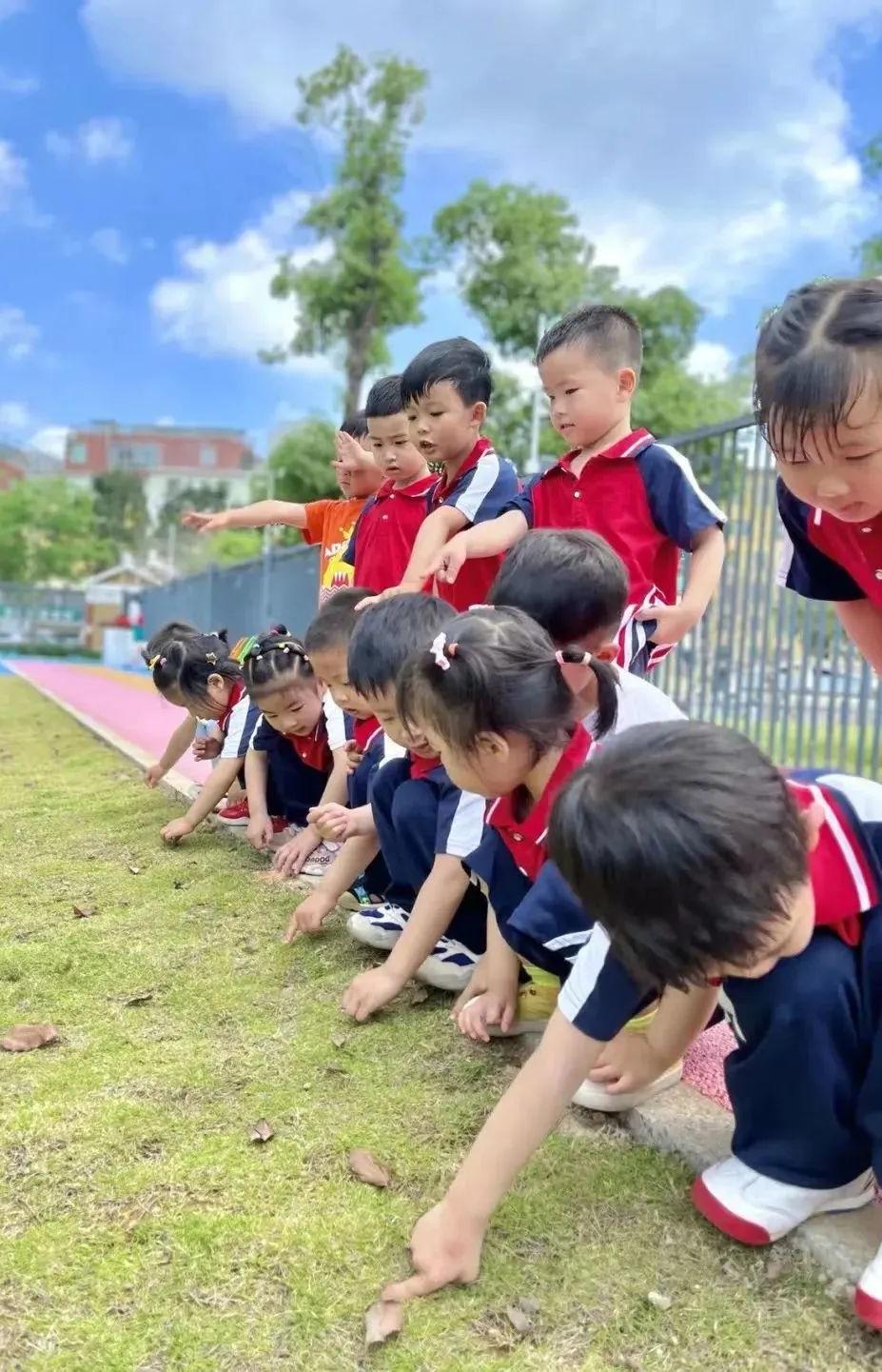 家门口的好学校丨厦门市禾穆实验幼儿园