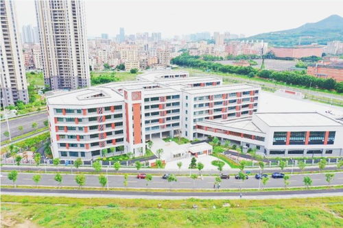 厦门教育民生新景 厦大附属学校启用，近两成幼儿园办托班，市实验幼儿园引领创新