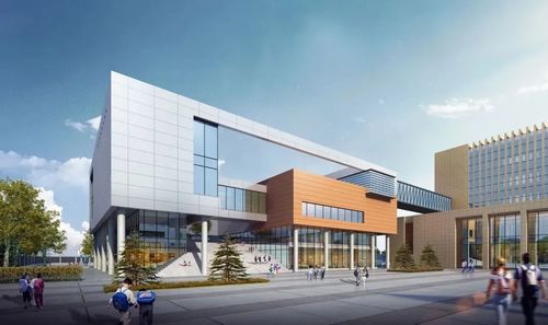 中北新都心工程播报 | 寒来霜以至，赏叶正当时，共绘成长新画卷